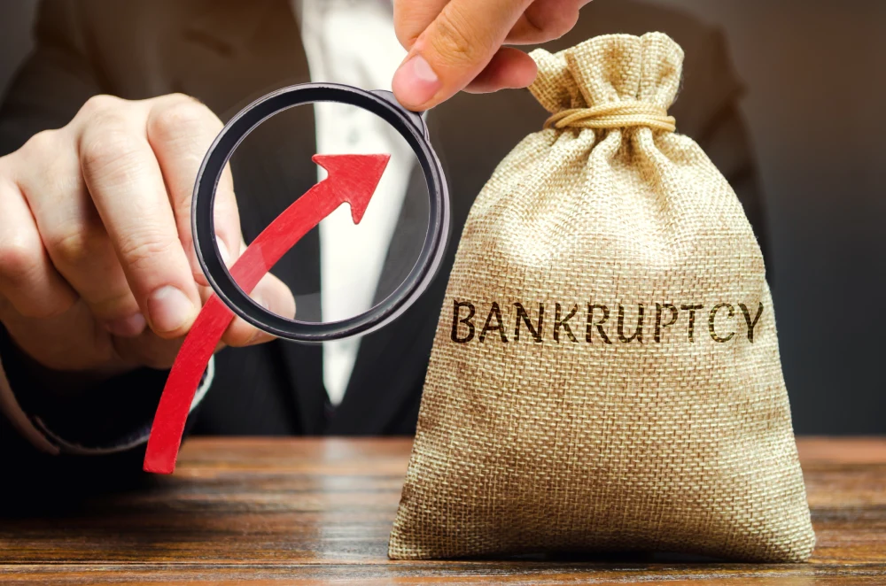 3 types of bankruptcies​
